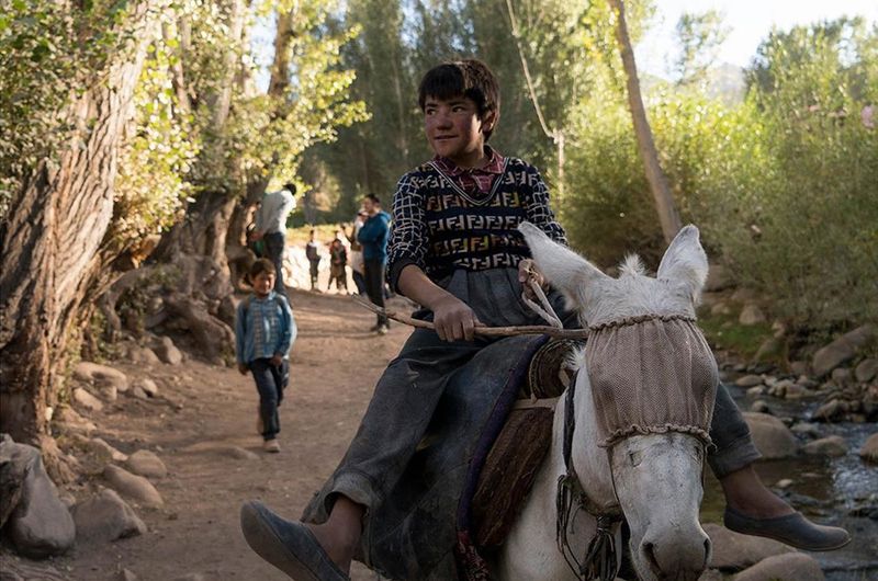 Portraits of a boy and his donkey. These were taken in a village in the Fouladi Valley, Bamiyan